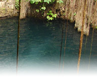 Cozumel